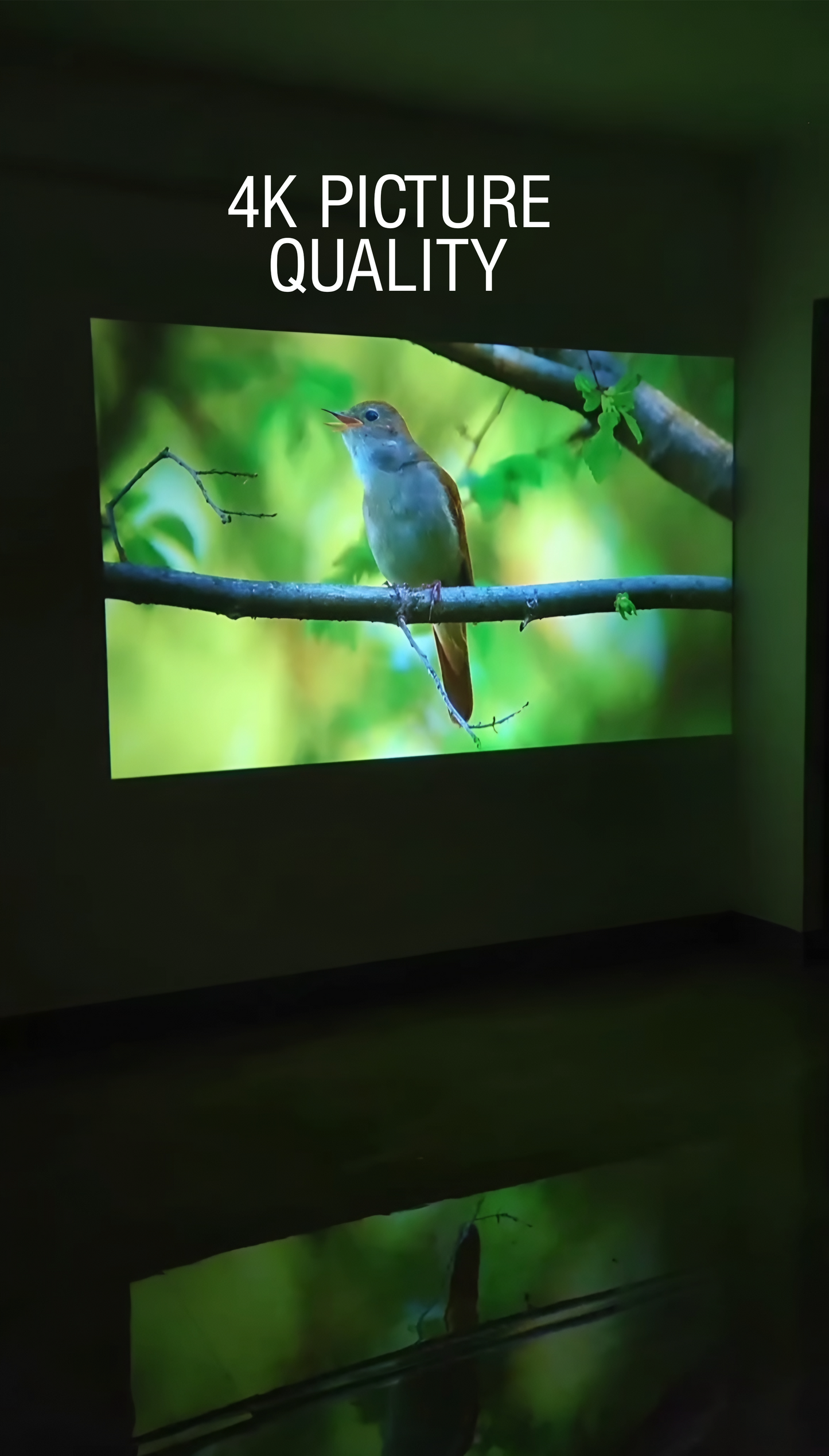 Andriod 5G Wifi Projector 4k